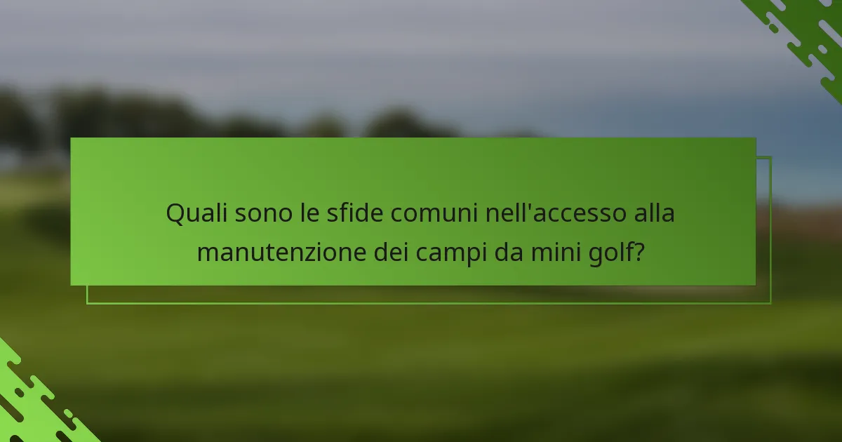 Quali sono le sfide comuni nell'accesso alla manutenzione dei campi da mini golf?